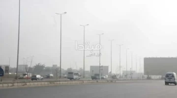 استمرار الشبورة والأمطار.. توقعات الرياح في مناطق الشمال اليوم